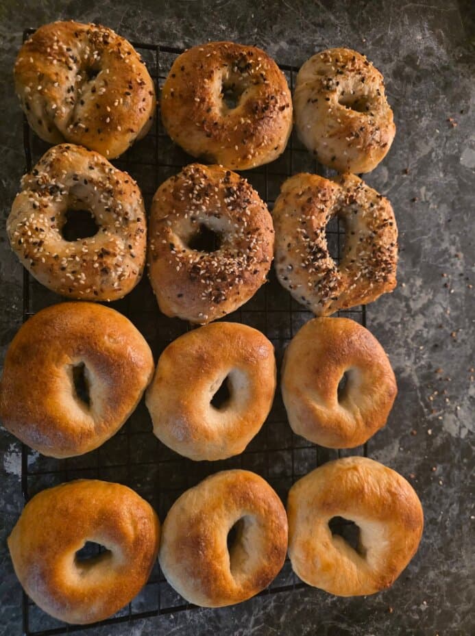 A dozen sourdough bagels, everything-seasoned and plain, on a cooling rack