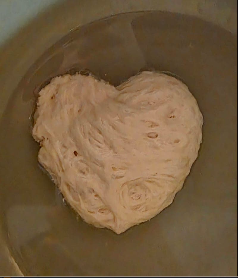 Bubbly sourdough dough rising in a bowl in the shape of a heart